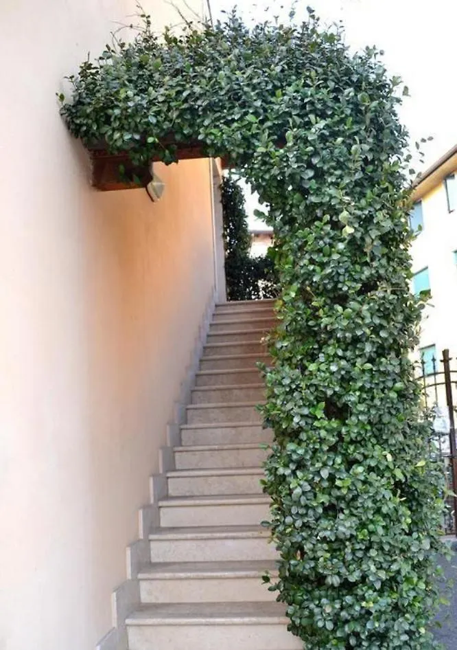 Bed and Breakfast Alloggio La Pesa Poiano Frühstückspension